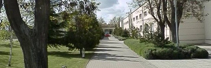 tardes de educacion