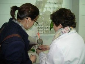 cata1